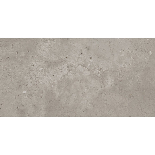 Emser Network 12" x 23" Porcelain Matte Tile