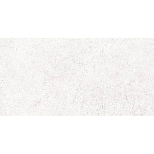 Emser Network 23" x 47" Porcelain Matte Tile