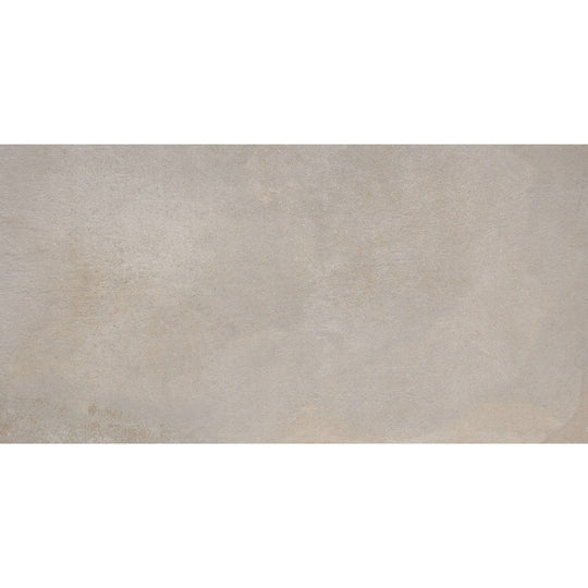 Emser Borigni 12" x 23" Porcelain Matte Tile