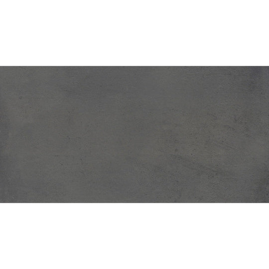 Emser Borigni 12" x 23" Porcelain Matte Tile