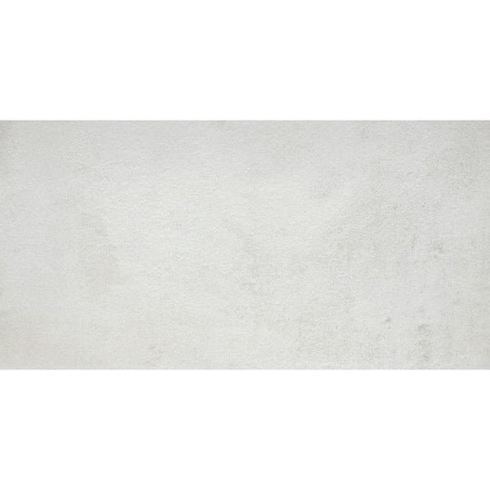 Emser Borigni 12" x 23" Porcelain Matte Tile