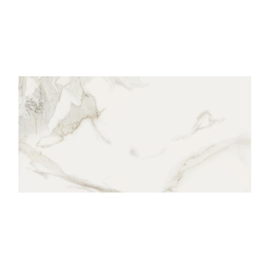 Anatolia 16" x 32" Mayfair Rectified Matte Porcelain Tile