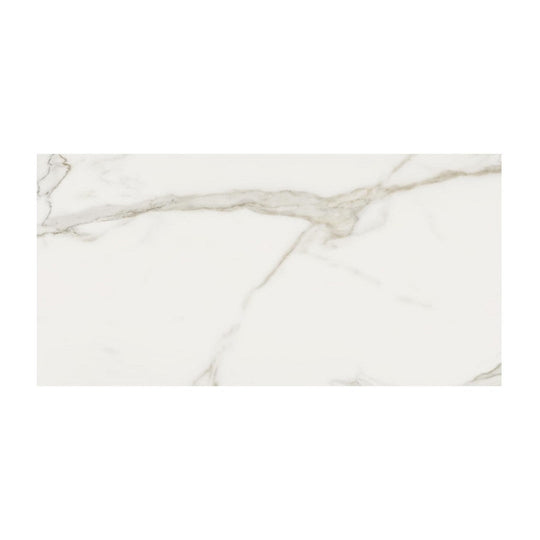 Anatolia 24" x 48" Mayfair Rectified Polished Porcelain Tile