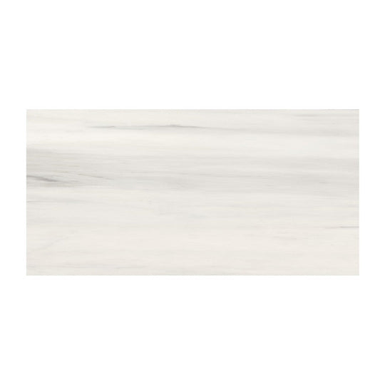 Anatolia 24" x 48" Mayfair Rectified Polished Porcelain Tile