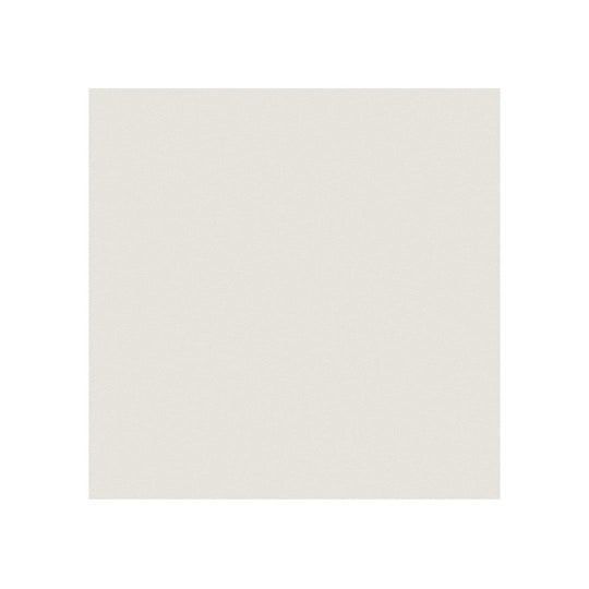 Anatolia 24" x 24" Prima Rectified Matte Porcelain Tile