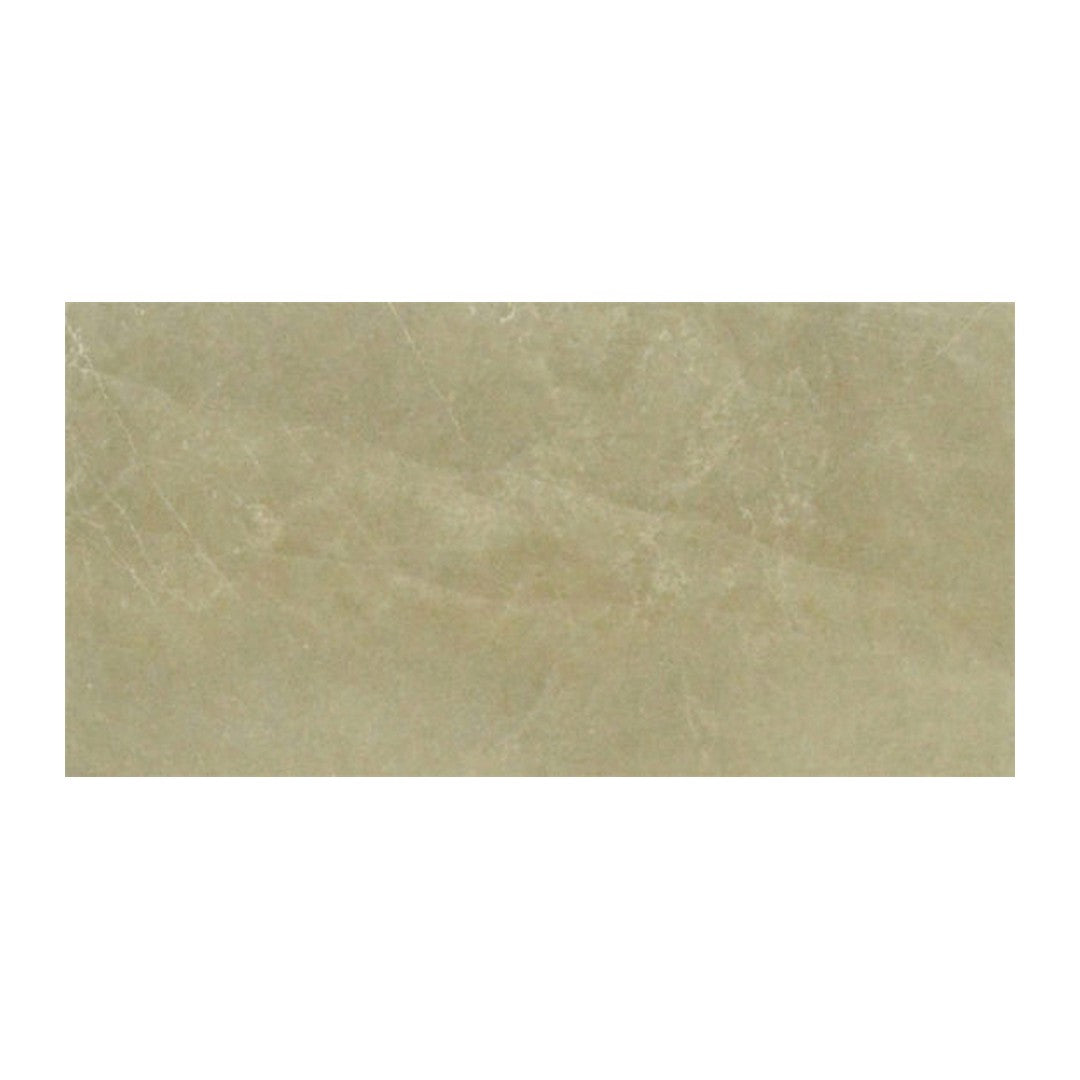 Anatolia 6" x 12" Classic Glossy Porcelain Tile