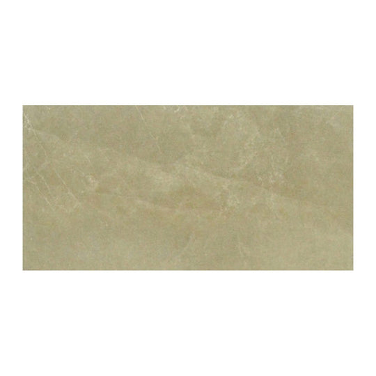 Anatolia 6" x 12" Classic Glossy Porcelain Tile