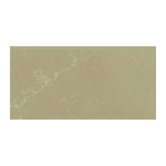 Anatolia 3" x 6" Classic Matte Porcelain Bullnose