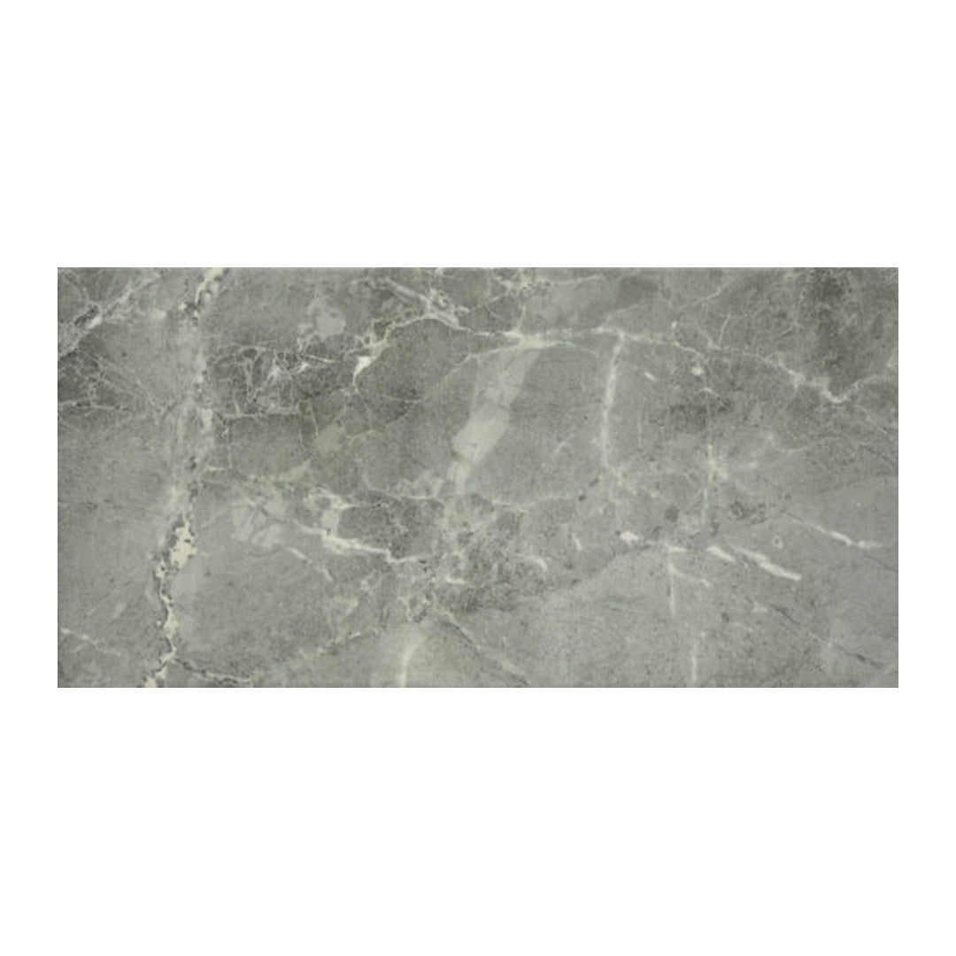 Anatolia 10" x 20" Regency Glossy Porcelain Tile