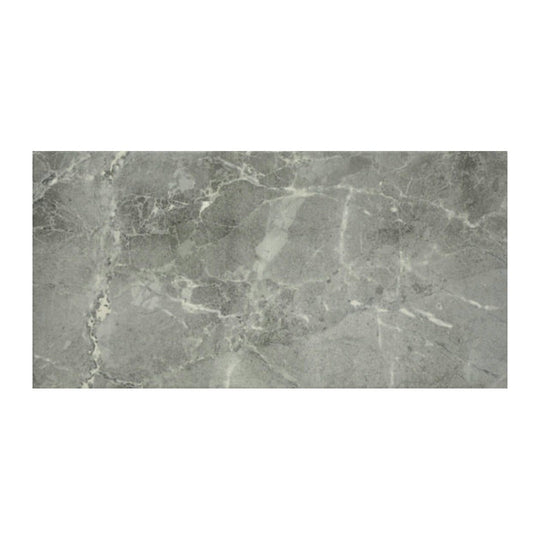 Anatolia 10" x 20" Regency Glossy Porcelain Tile