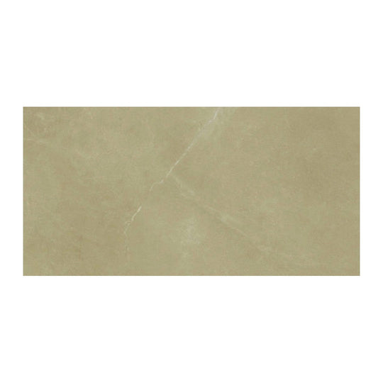 Anatolia 12" x 24" Classic Pressed Matte Porcelain Tile