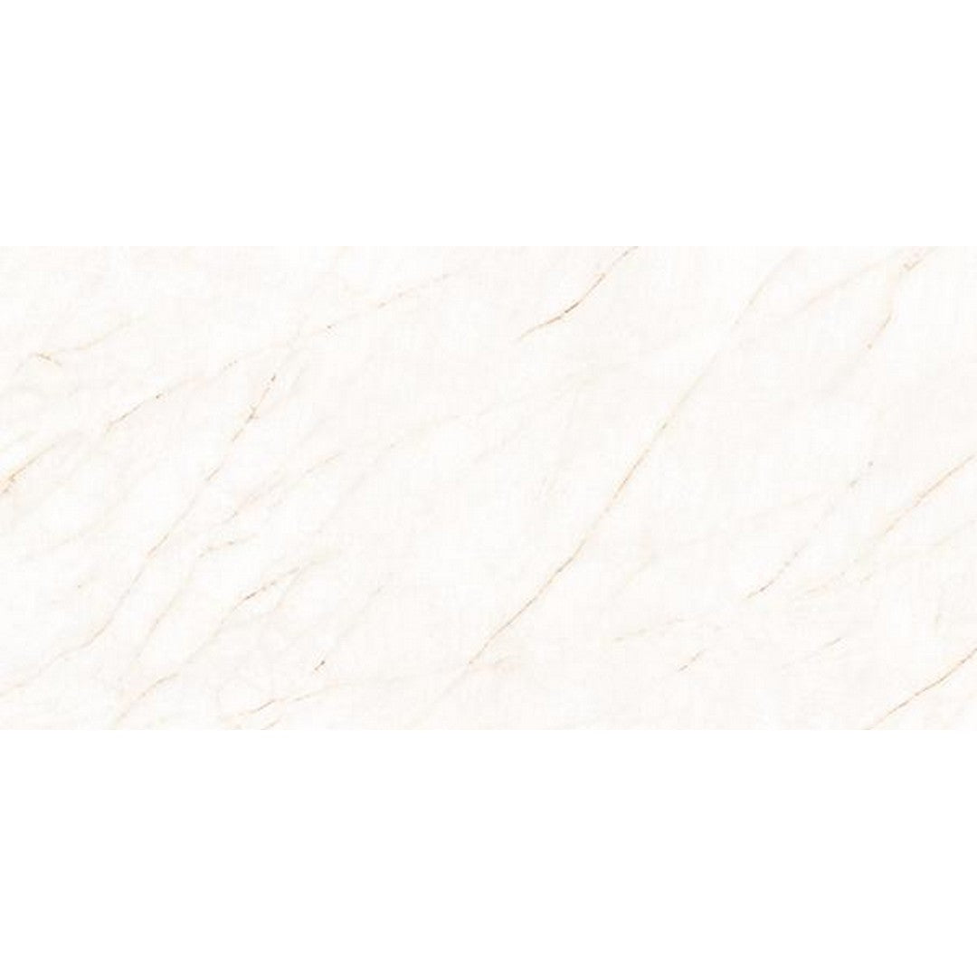 Tesoro 12" x 24" La Dolce Vita Rectified Matte Porcelain Tile