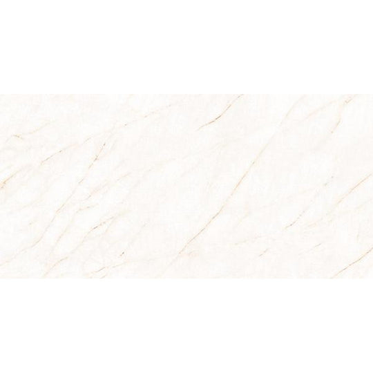 Tesoro 24" x 48" La Dolce Vita Rectified Matte Porcelain Tile