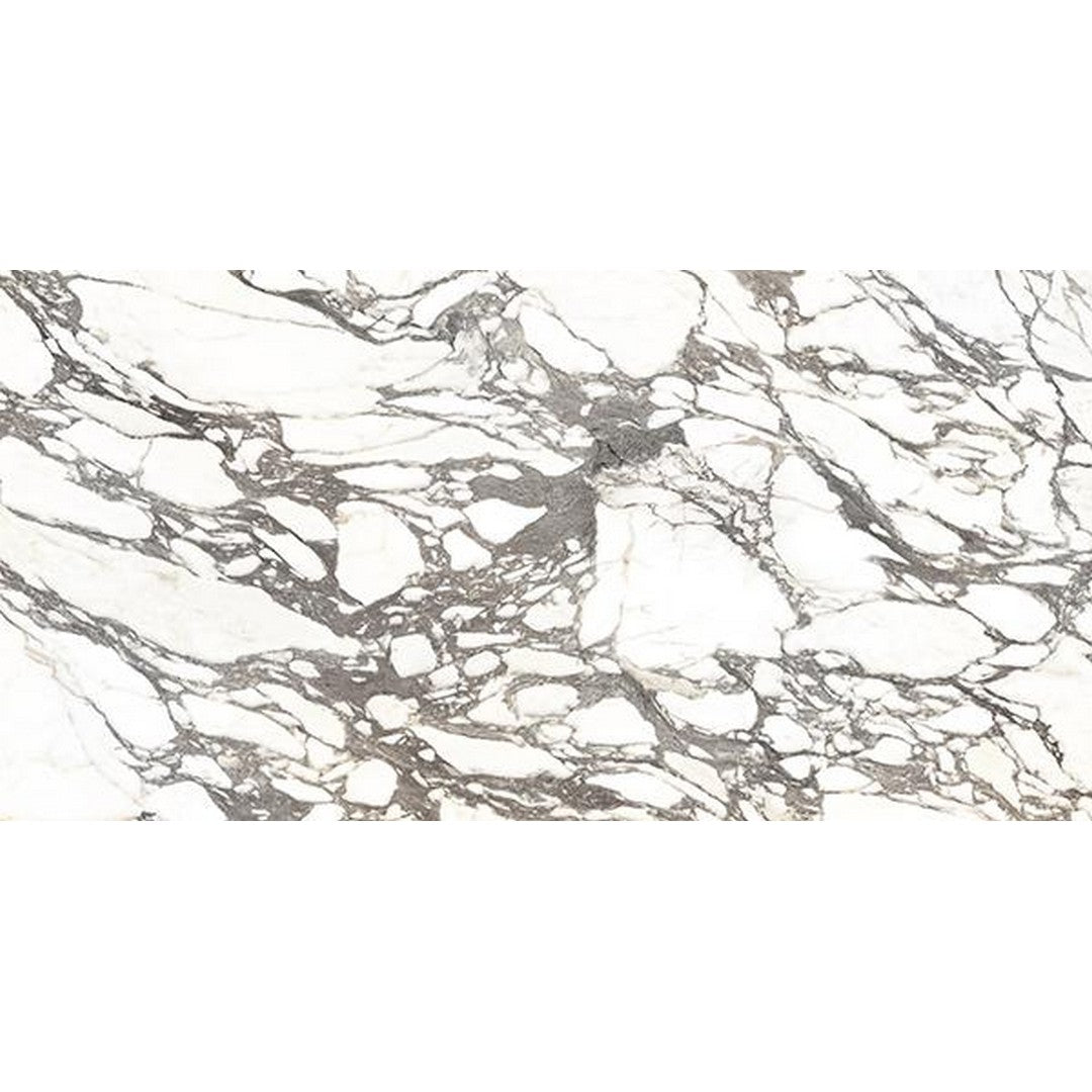 Tesoro 24" x 48" La Dolce Vita Rectified Matte Porcelain Tile