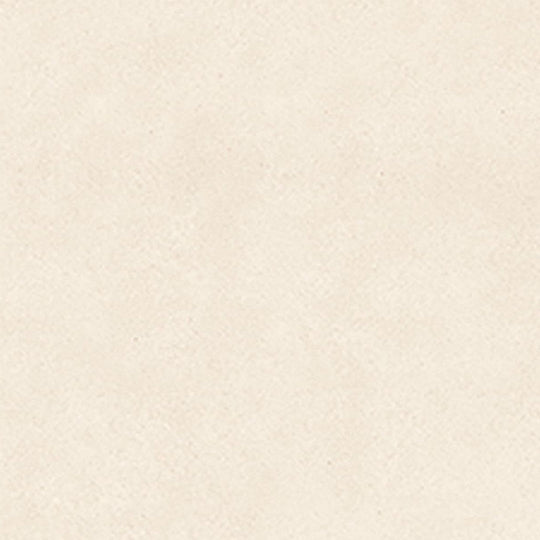 Anatolia 24" x 24" Natural Stone Honed Limestone Tile