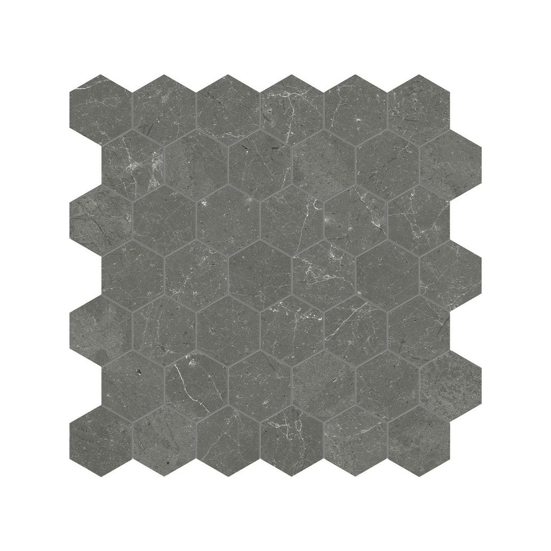 Anatolia 12" x 12" Natural Stone Polished Marble 2" Hexagon Mosaic