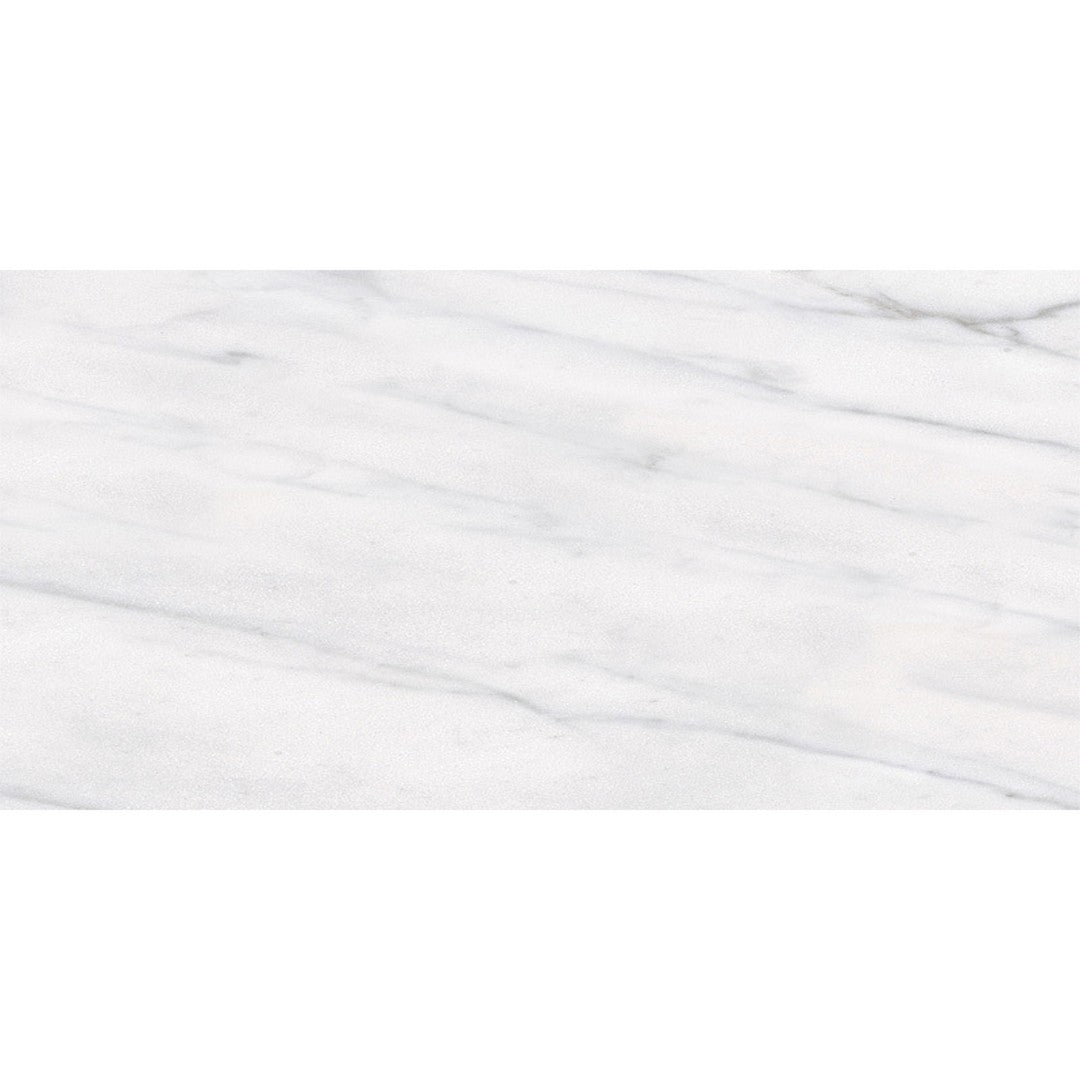 Tesoro 12" x 24" Classic Pressed Matte Pocelain Tile