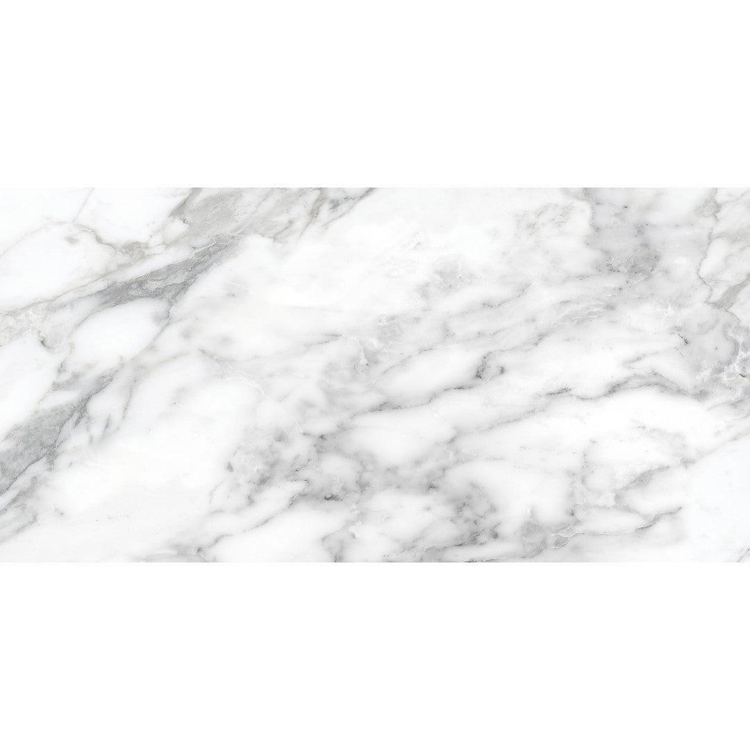Tesoro 24" x 48" La Marca Rectified Matte Porcelain Tile