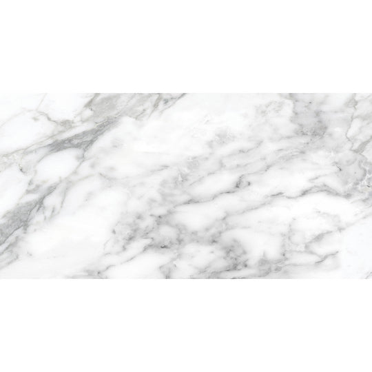 Tesoro 24" x 48" La Marca Rectified Matte Porcelain Tile