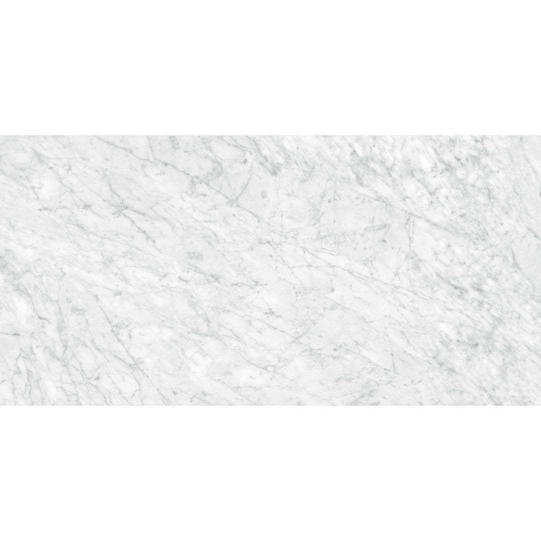 Tesoro 24" x 48" La Marca Rectified Polished Porcelain Tile