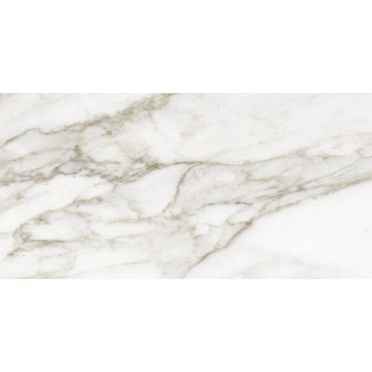 Tesoro 12" x 24" La Marca Rectified Polished Porcelain Tile