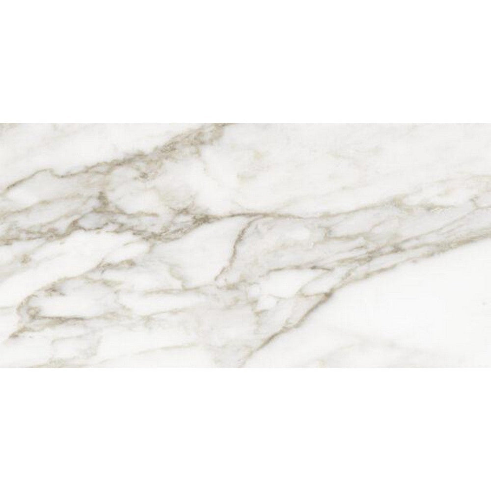Tesoro 24" x 48" La Marca Rectified Polished Porcelain Tile