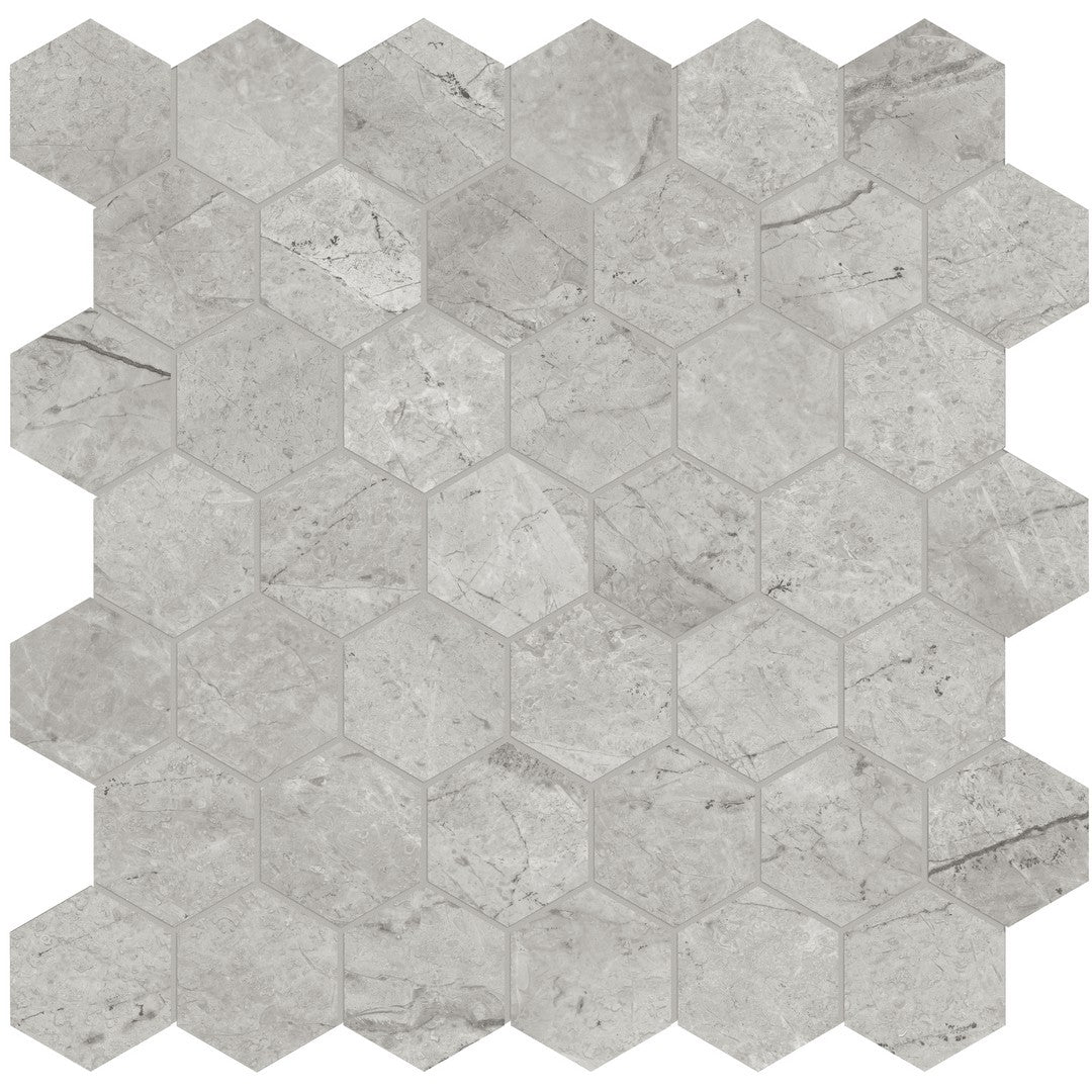 Tesoro 11.75" x 13.25" La Marca Rectified Polished 2" Hexagon Porcelain Mosaic