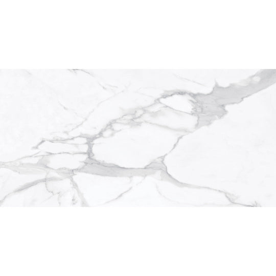 Tesoro 24" x 48" La Marca Rectified Matte Porcelain Tile