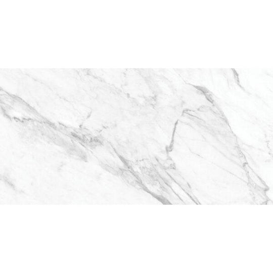 Tesoro 24" x 48" La Marca Rectified Matte Porcelain Tile