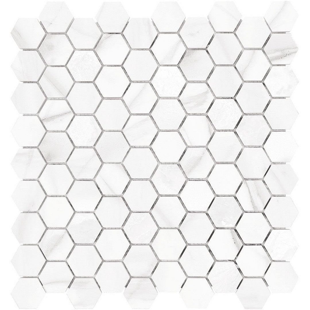 Tesoro 11.5" x 12" Mayfair Rectified Polished 1.25" Hexagon Porcelain Mosaic