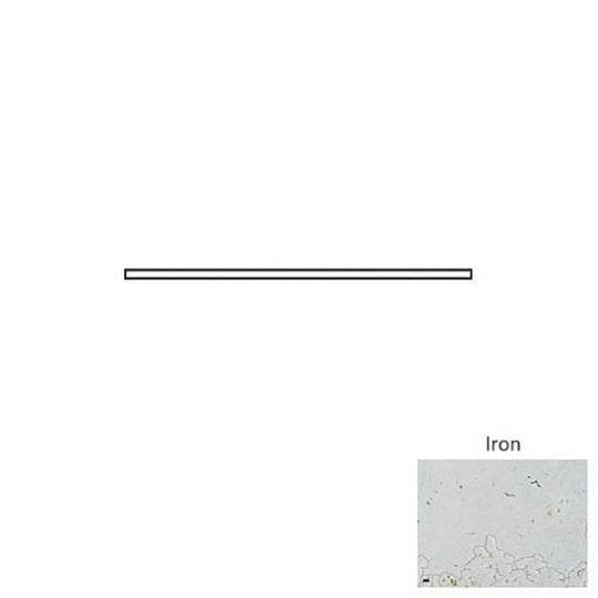 Tesoro 0.625" x 12" Grunge Pressed Ceramic Quarter