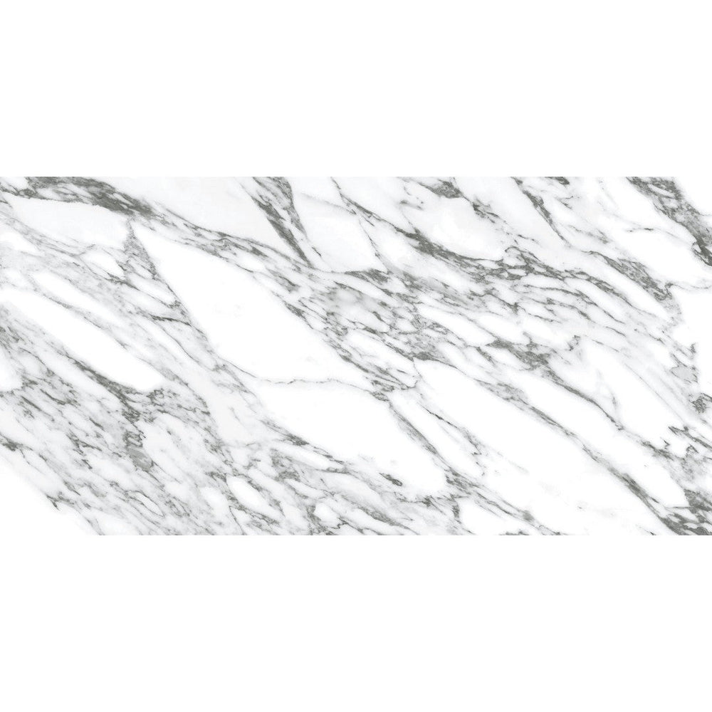 Ottimo Arabescato 24" x 48" Honed Porcelain Tile