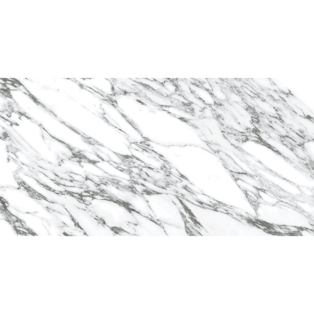 Ottimo Arabescato 24" x 48" Polished Porcelain Tile