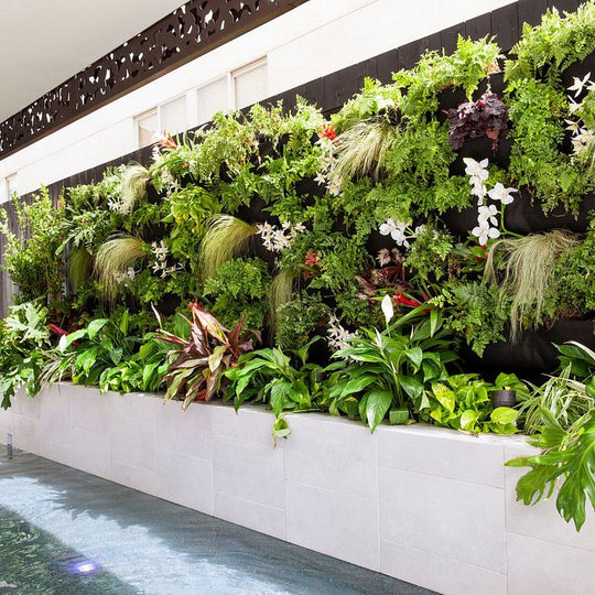 Arizona-12-x-24-Cemento-Rasato-Matte-Porcelain-Tile-Antracite