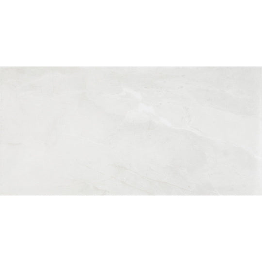 Daltile Artsy 12" x 24" Polished Glazed Porcelain Floor Tile