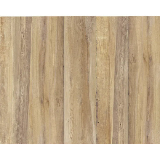 Arizona 8" x 32" Aequa Matte Rectified Porcelain Tile