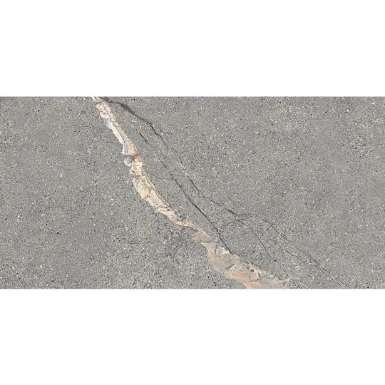 Arizona 12" x 24" Anthea Series Matte Rectified Porcelain Tile