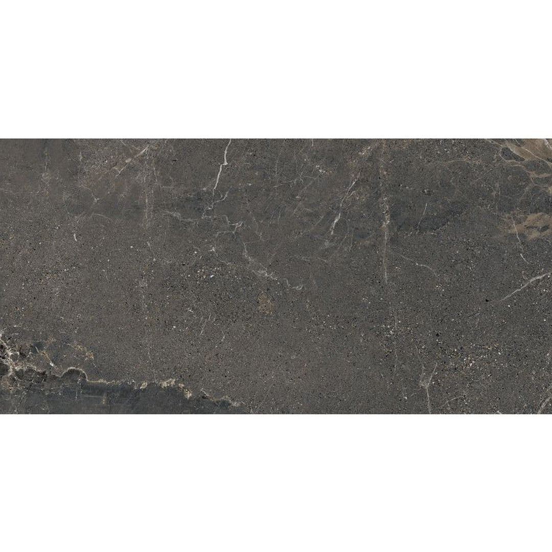 Arizona 24" x 48" Anthea Series Matte Rectified Porcelain Tile