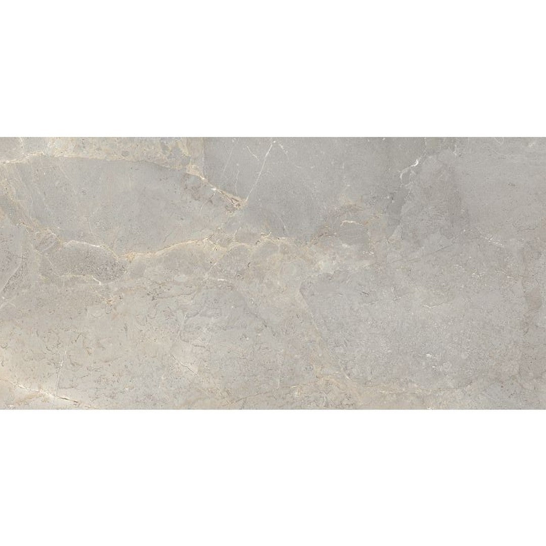 Arizona 24" x 48" Anthea Series R11 Anti-Slip Rectified Porcelain Tile