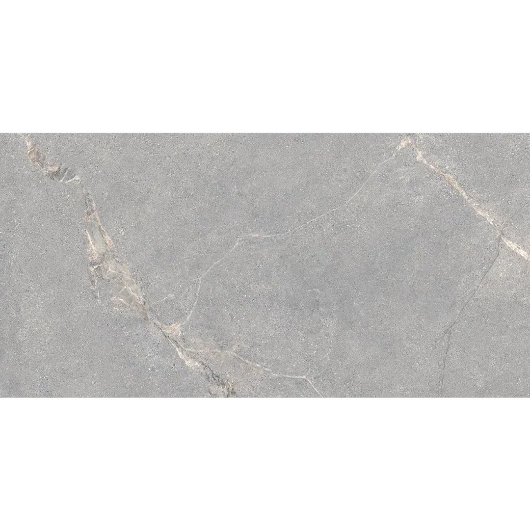 Arizona 24" x 48" Anthea Series Matte Rectified Porcelain Tile