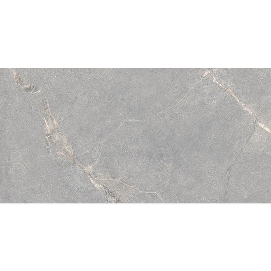 Arizona 24" x 48" Anthea Series Matte Rectified Porcelain Tile