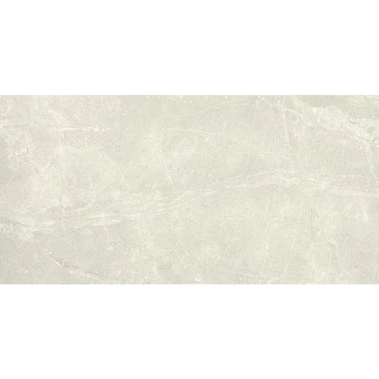 Arizona 24" x 48" Anthea Series Matte Rectified Porcelain Tile