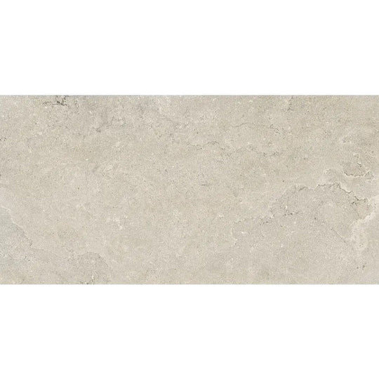 Arizona 24" x 48" Borgo Matte Rectified Porcelain Tile