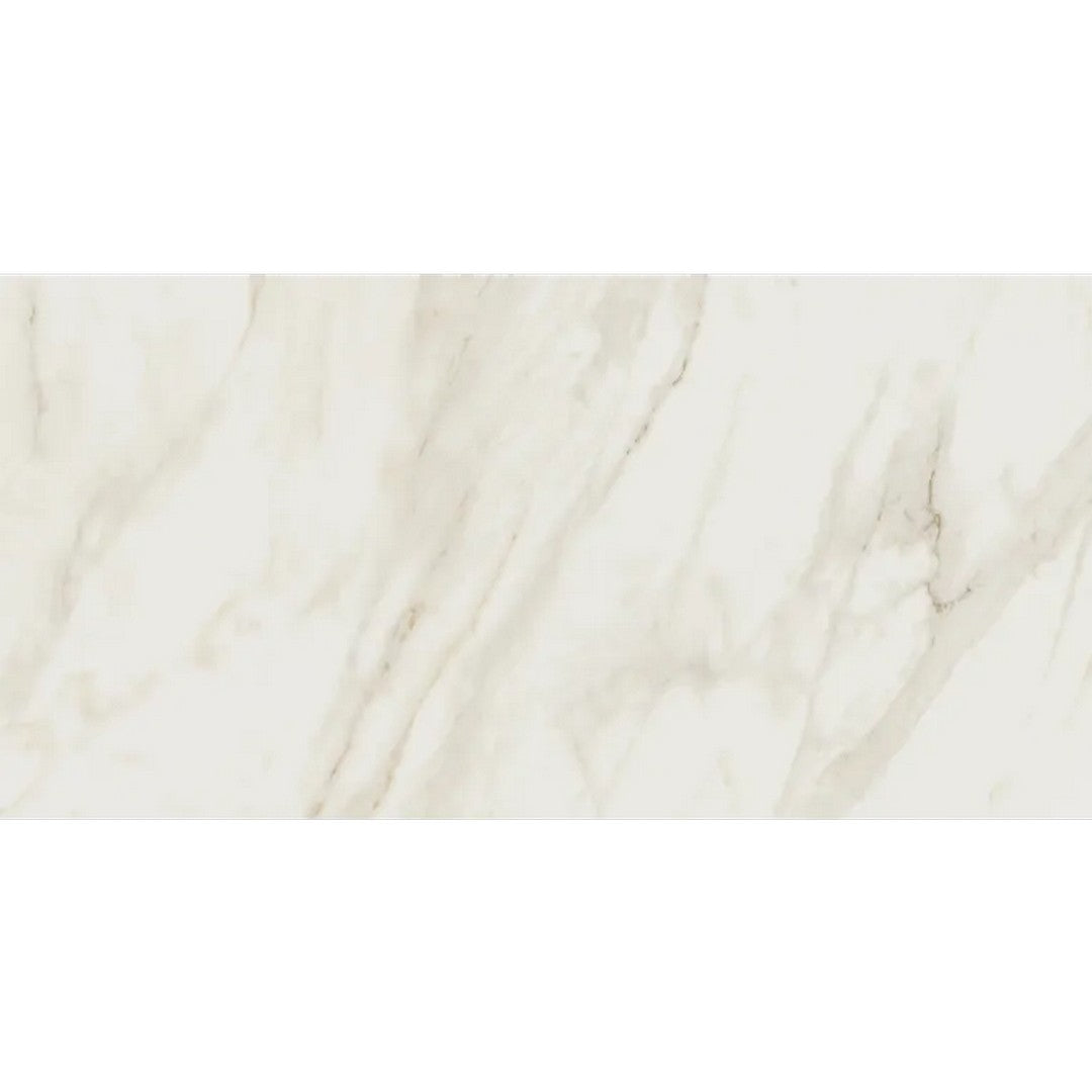 Arizona 12" x 24" Cala Polished Rectified Porcelain Tile