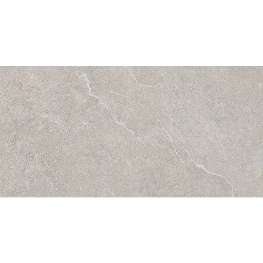 Arizona 24" x 48" Futura Rectified Porcelain Tile