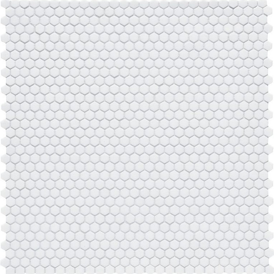Arizona 12" x 12" Geometro 2.0 Matte Rectified Glass Hexagon Mosaic