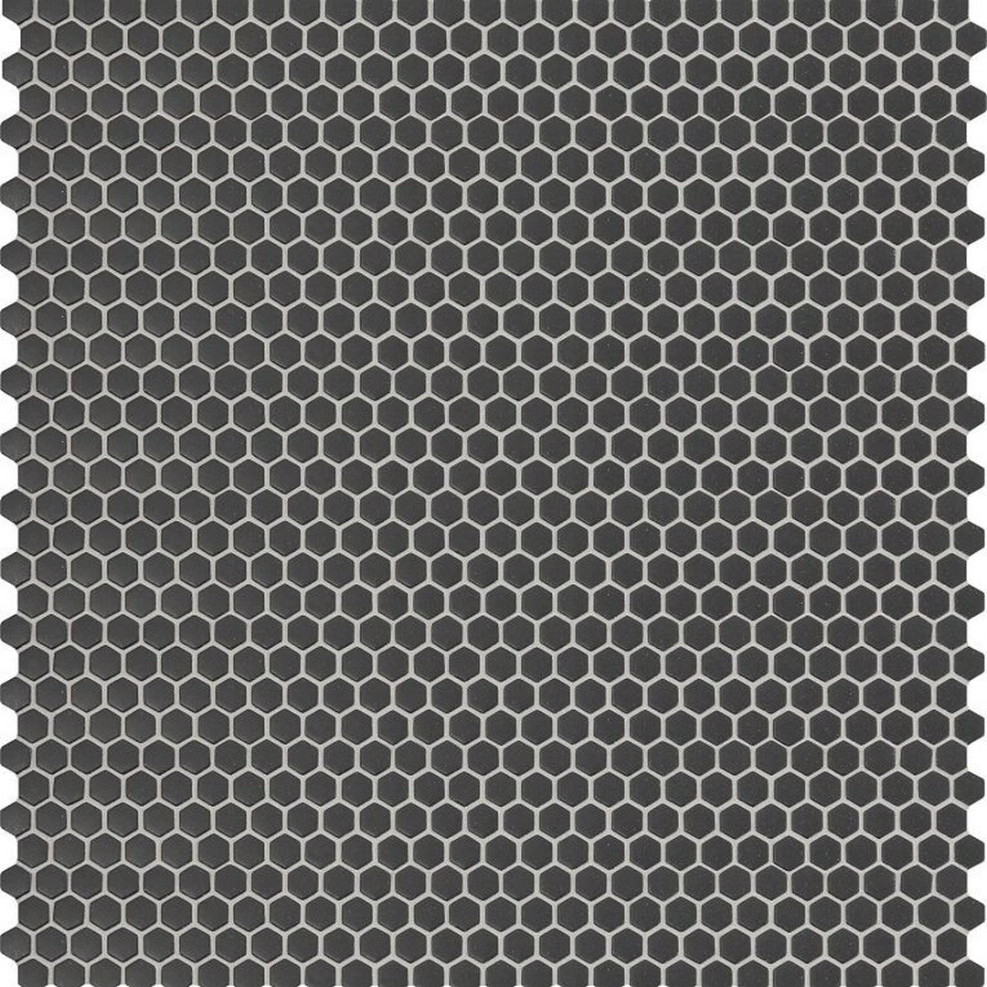 Arizona 12" x 12" Geometro 2.0 Matte Rectified Glass Hexagon Mosaic