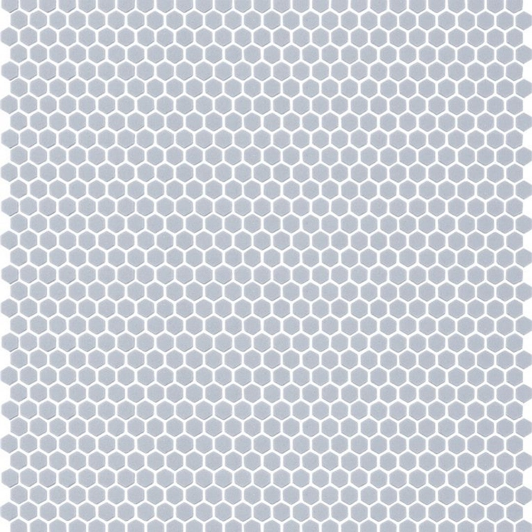 Arizona 12" x 12" Geometro 2.0 Matte Rectified Glass Hexagon Mosaic