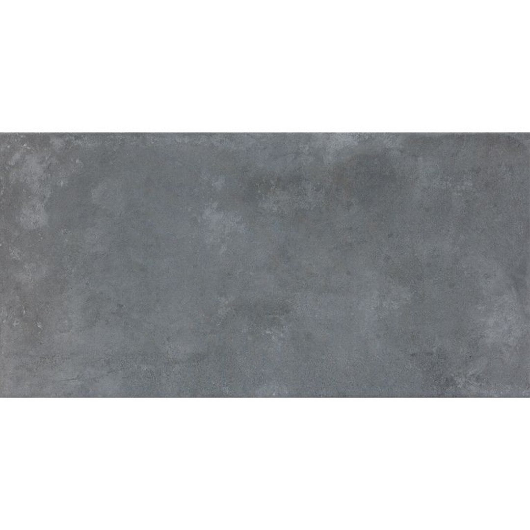 Arizona 24" x 48" Icon Matte Porcelain Tile (9mm)