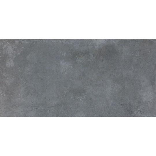 Arizona 24" x 48" Icon Matte Porcelain Tile (9mm)